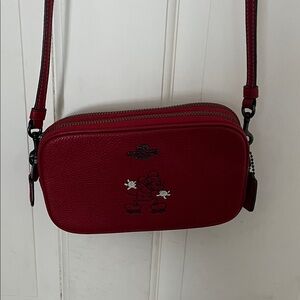 Coach Disney Crossbody